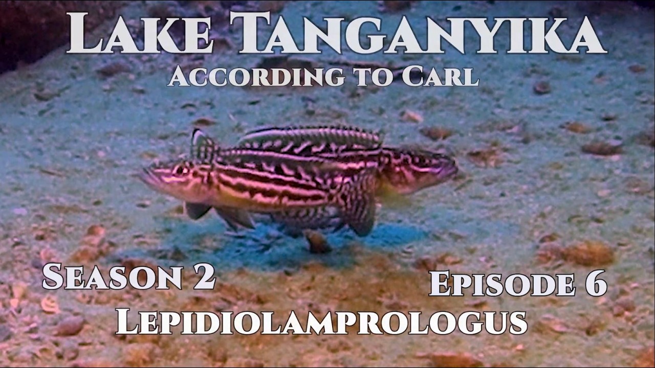 Lake Tanganyika According to Carl S2E6 