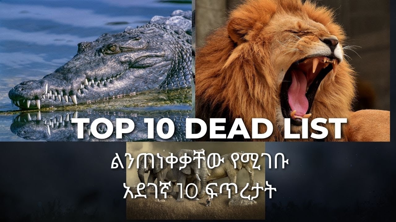 በጣም አደገኛ ልንጠነቀቃቸው የሚገቡ ፍጥረታት / Dead list