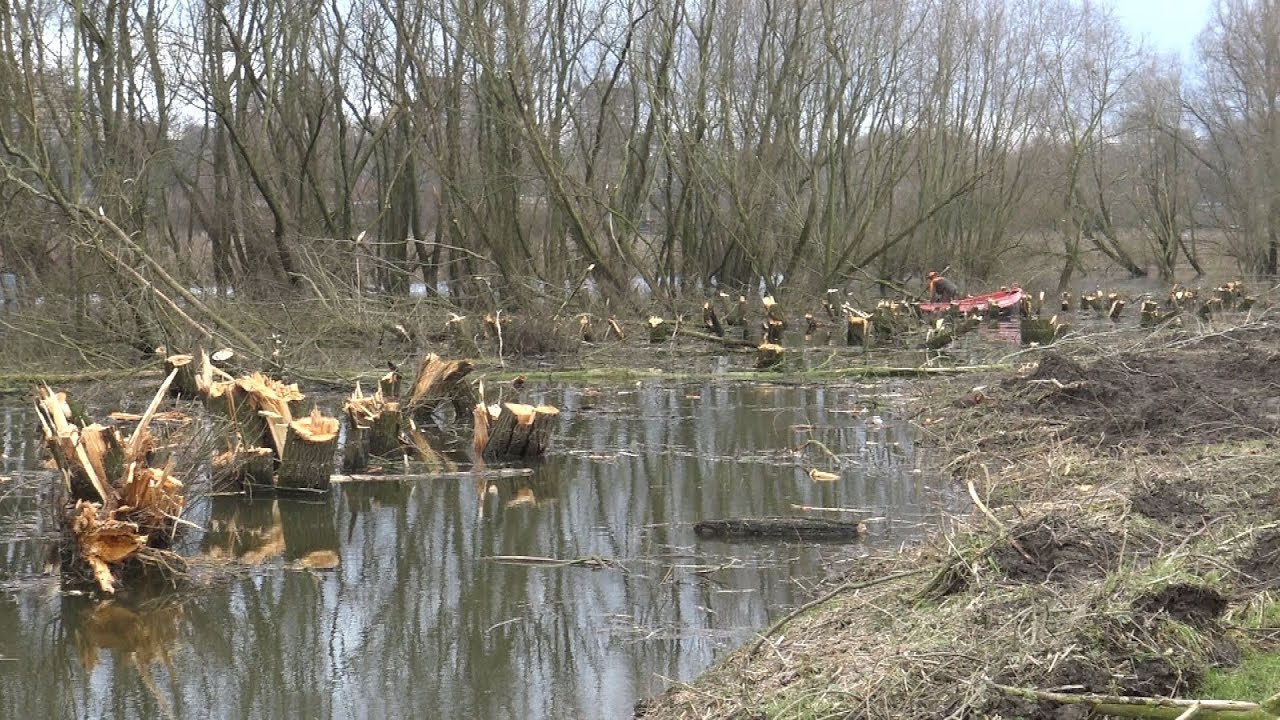 WILDLIFE HOLLAND 3 ZWART ZAND (fragment 100 000 BOMEN GEKAPT !!!) Jeroworld