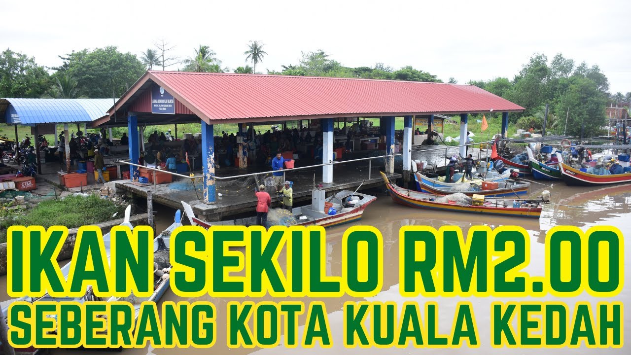 Ikan sekilo RM2.00,tempat ni saja yang dapat harga ni. Jeti Nelayan Seberang Kota Kuala Kedah