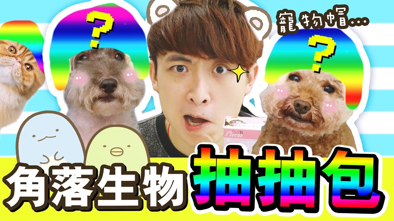 【🤣大爆笑】把「寵物變成角落生物」的抽抽包♪ ！能儲一套嗎？想不到戴上後竟然…❓(中字) | 盲盒 |