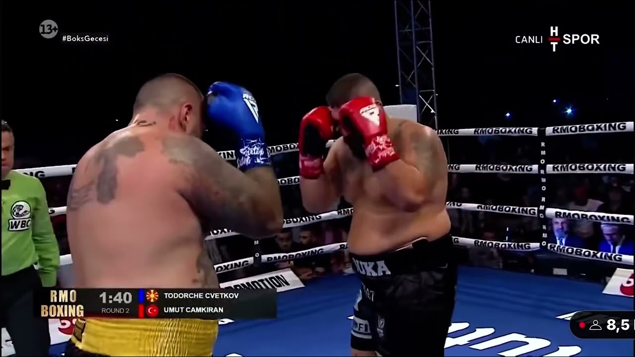 WİNNER THE KİNG REAL UMUT CAMKIRAN.🦁.      #boxing #türkiye #umutcamkıran #wbc #wbc 