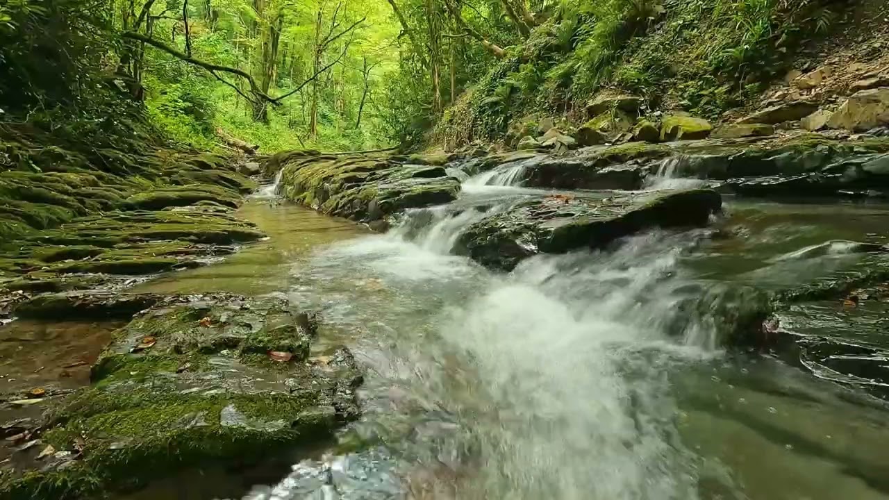 Deep Woods Mountain Stream 🌲 Lofi Nature ASMR for Sleep (Fades to Black)