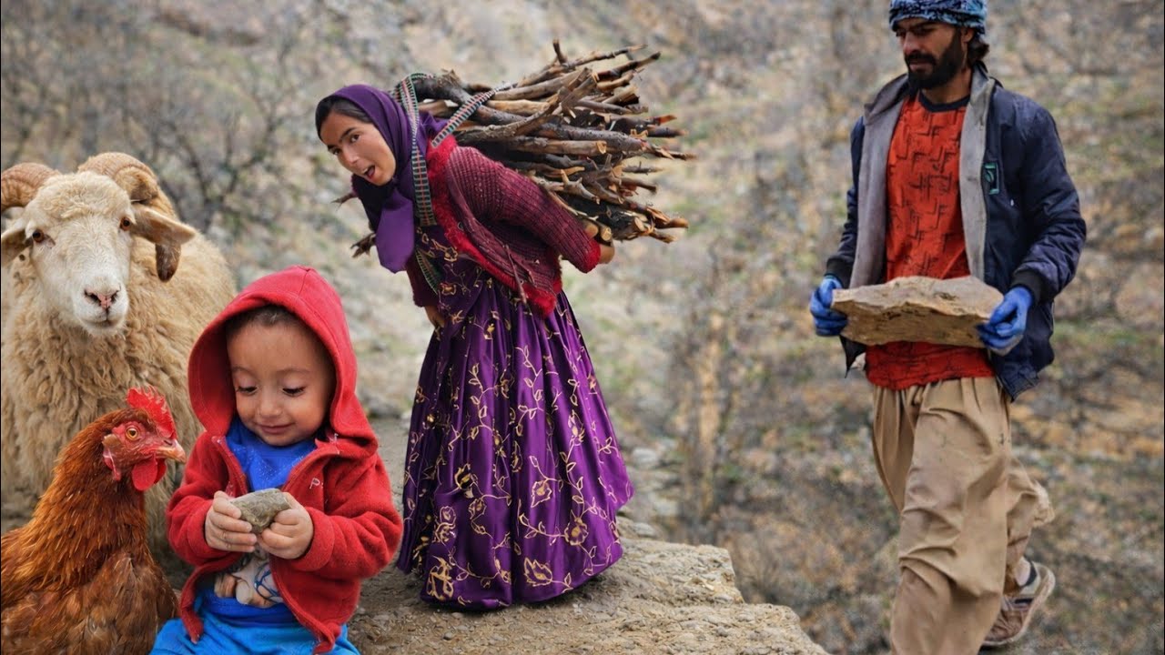 🏔️ Nomadic life in the mountains with Yousef and Parvaneh, building a hut and collecting firewood 🔥