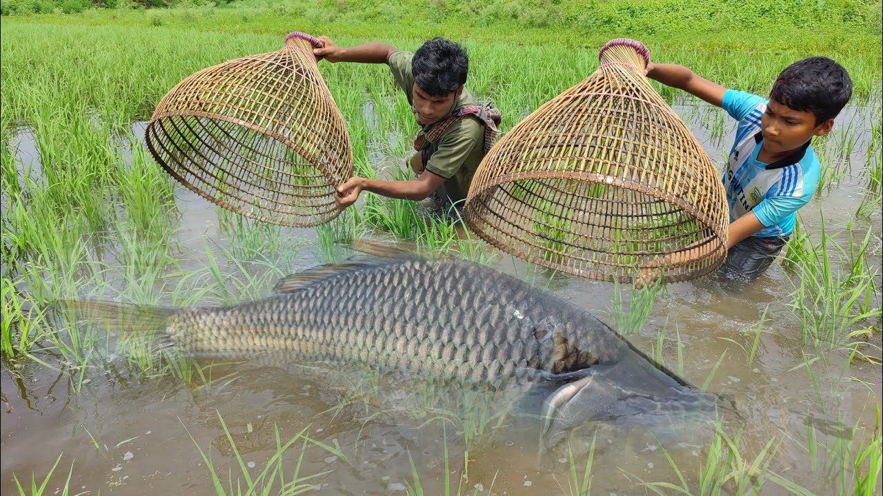 Best Amazing Fishing Video 2022 | Traditional Catching Fish With Bamboo Tools Polo Trap