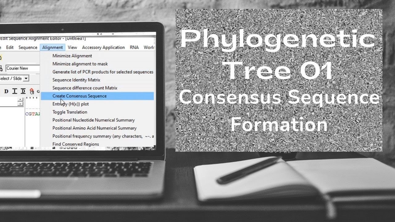 Phylogenetic tree formation | Consensus sequence formation | Bioinformatics | Class # 01