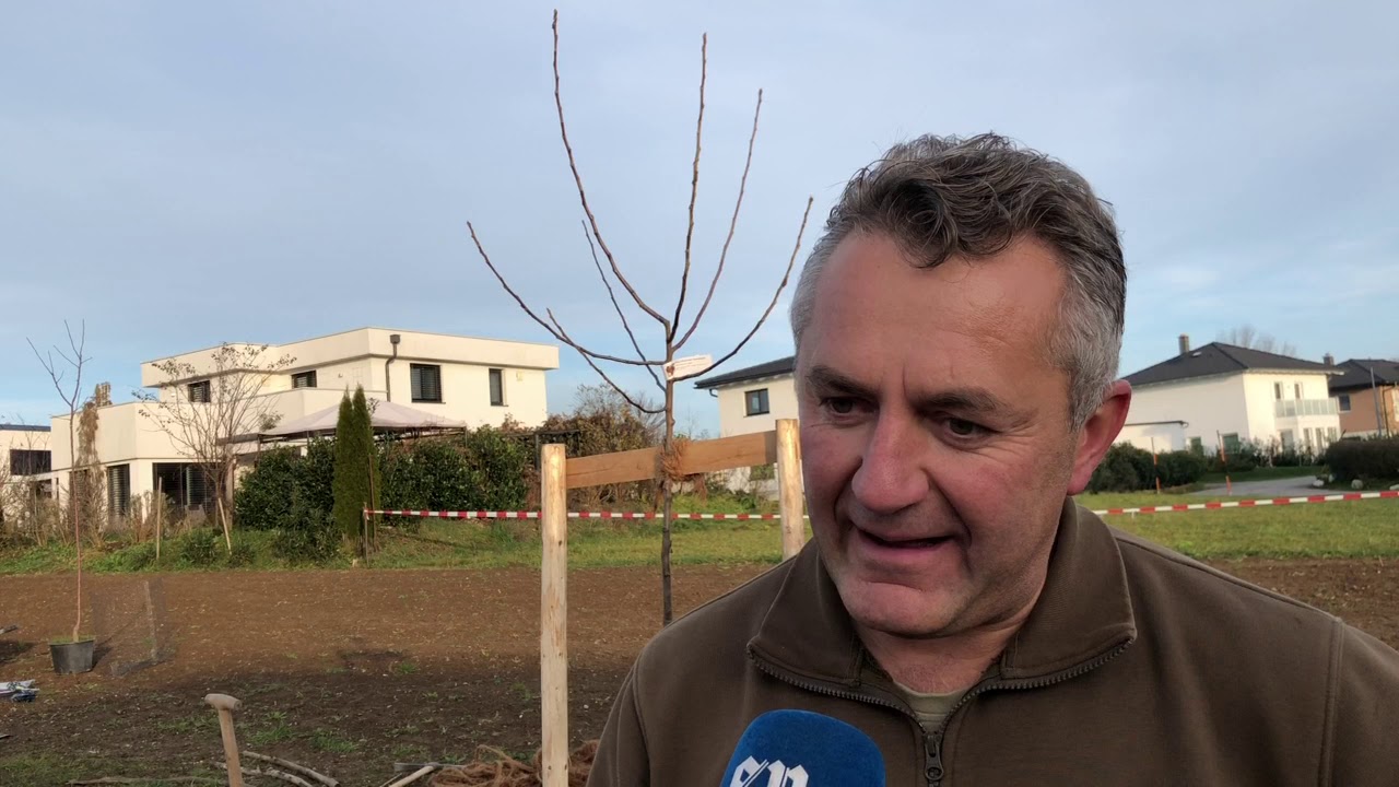 G&auml;rtnermeister Franz H&ouml;negger &uuml;ber das Bl&uuml;hwiesenprojekt am K&uuml;hberg