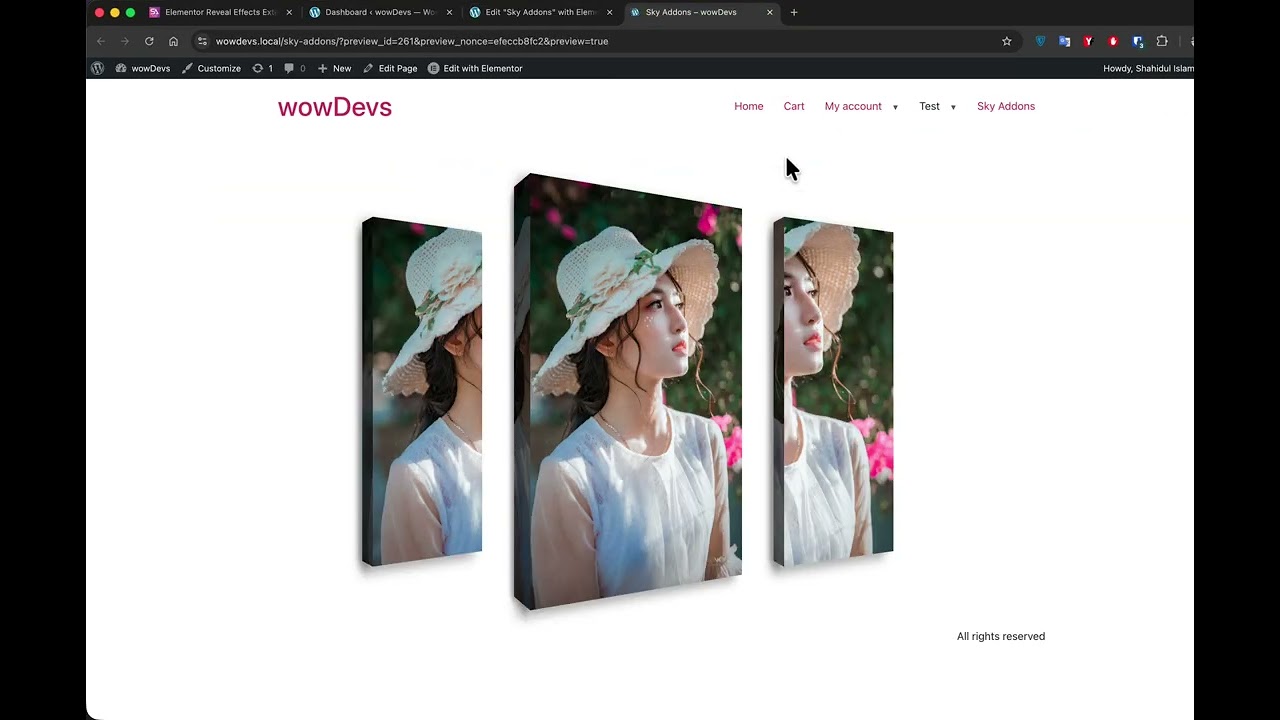 Reveal Effects for Elementor | Stunning Animation & Scroll Effects | Sky Addons