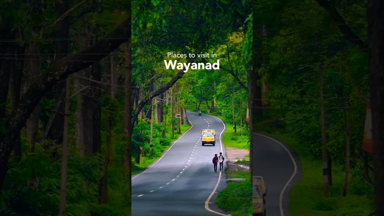 Wayanad Wonders | Places To Visit In Wayanad | Kerala Trip | Kerala Itinerary