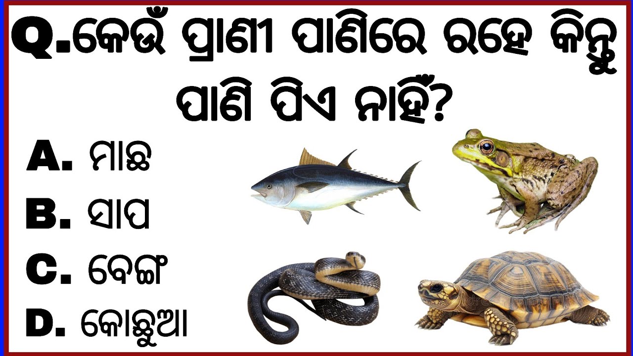 Interesting GK Quiz for Students 🧠|| Part -2
