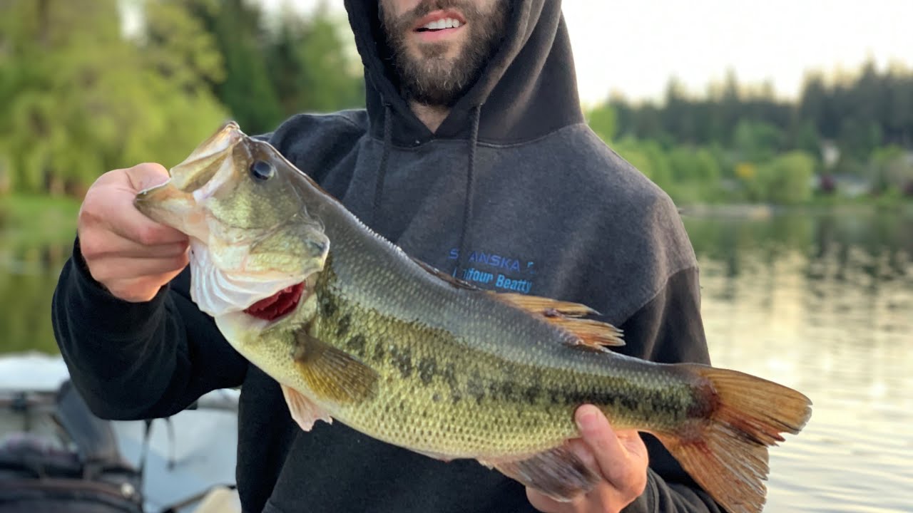 The Bass were Super Shallow