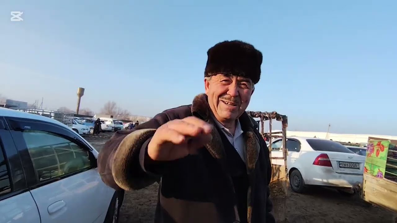 25 ЯНВАРЬ 2025 ЖЫЛ ШЫМБАЙ МАЛ БАЗАР БАХАЛАРЫ/#шымбай 