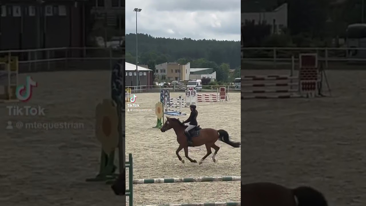 Kto już widział najnowszy odcinek?? #konie #jazdakonna #koniara #stajnia #jeździectwo #kochamkonie