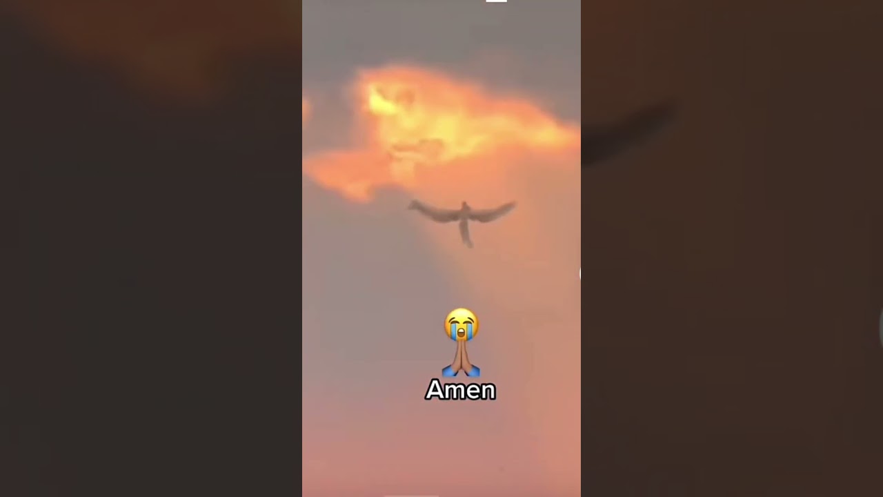 Angel Caught on Camera 🕊️🛐#shorts #parati