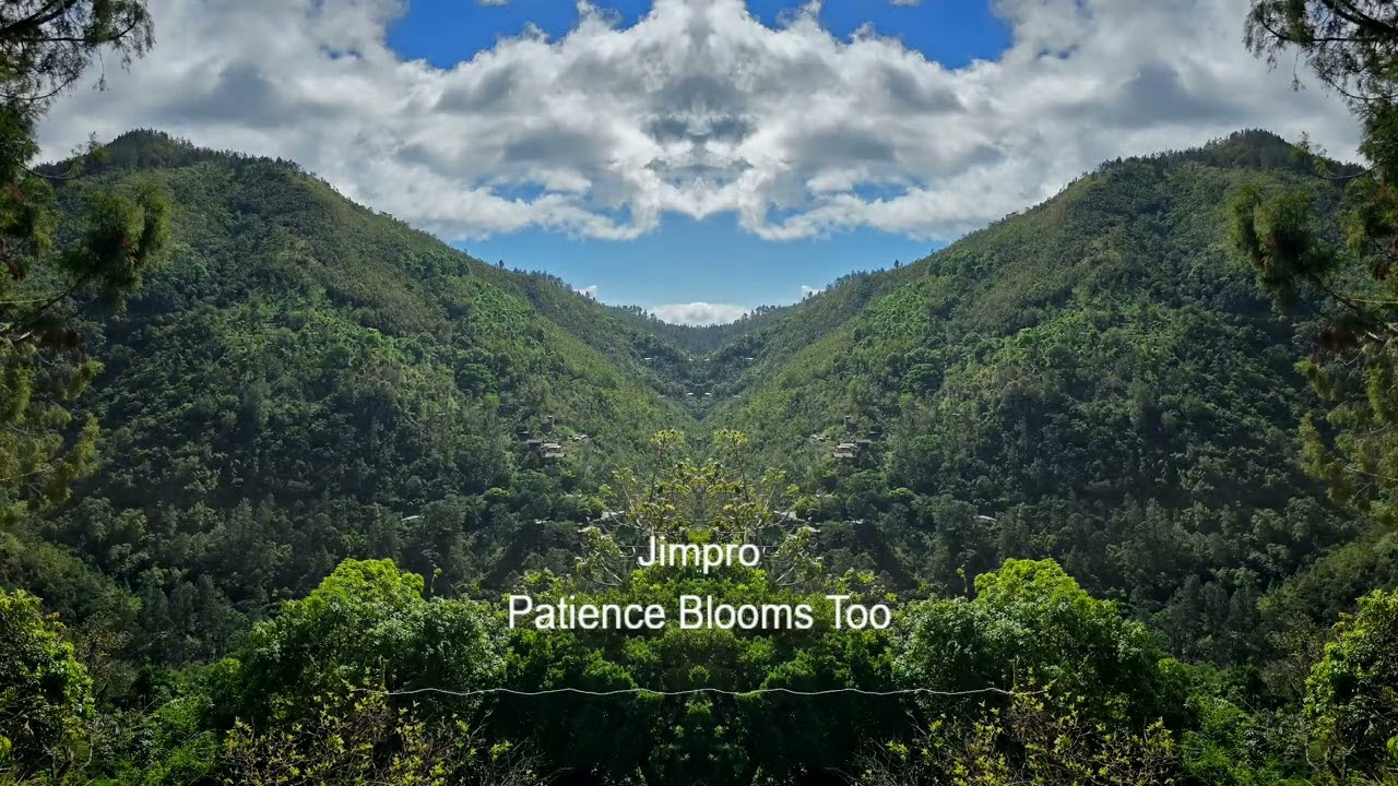 Jimpro - Patience Blooms Too (Official Audio)