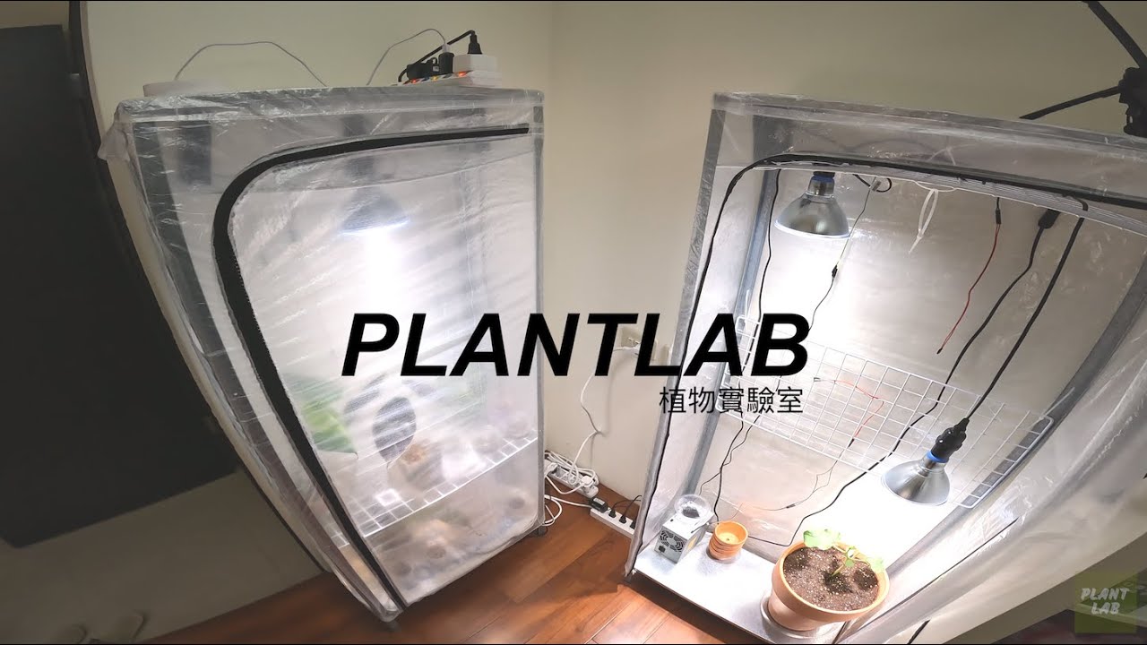 如何 DIY 小型室內溫室 | How to DIY Indoor Greenhouse | IKEA HYLLIS | PHILIPS Plant Light - Full Version