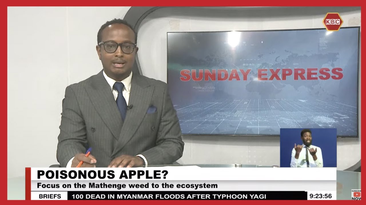 Poisonous Apple: Focus on the Mathenge weed to the ecosystem