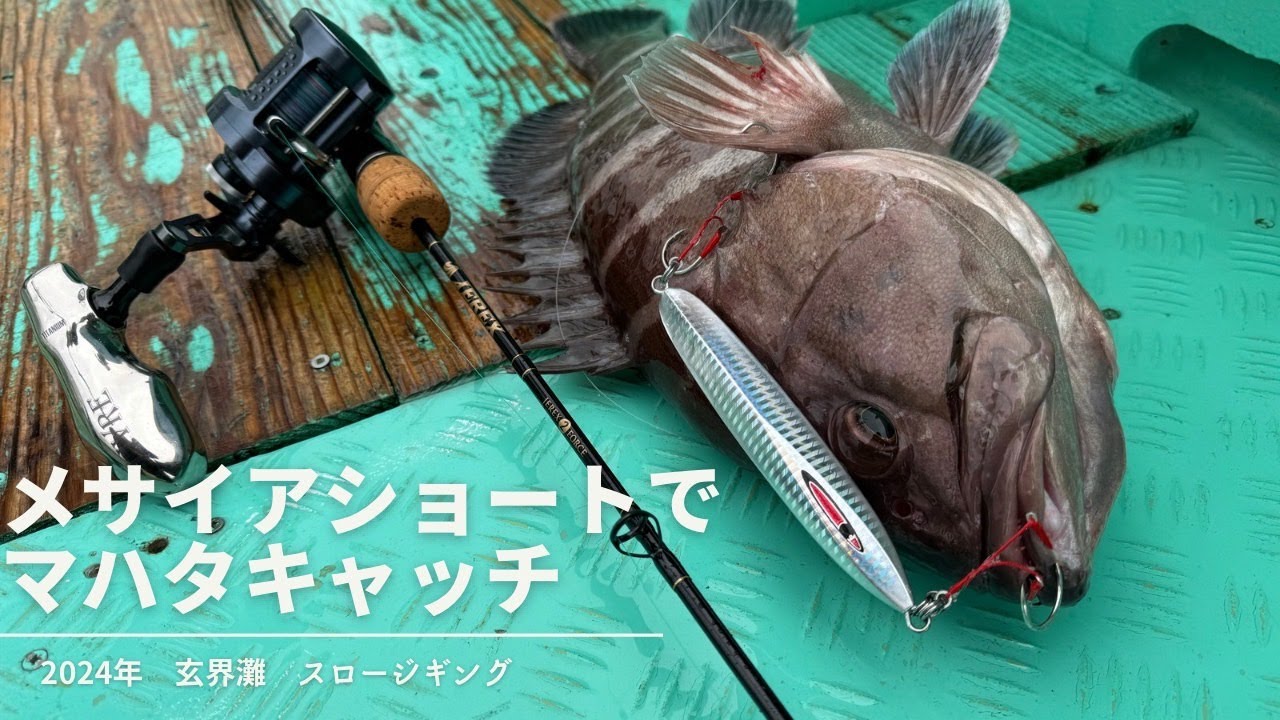 【スロージギング】メサイヤショートでマハタキャッチ