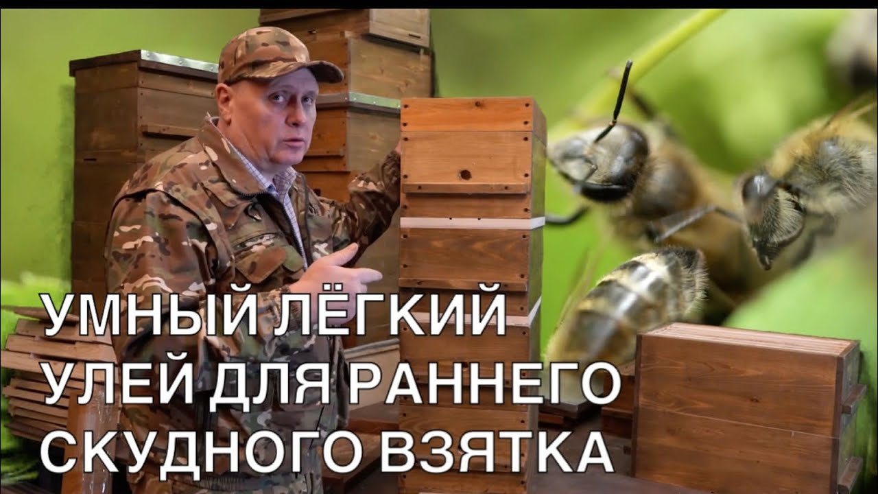 УМНЫЙ ЛЁГКИЙ УЛЕЙ ДЛЯ РАННЕГО СКУДНОГО ВЗЯТКА