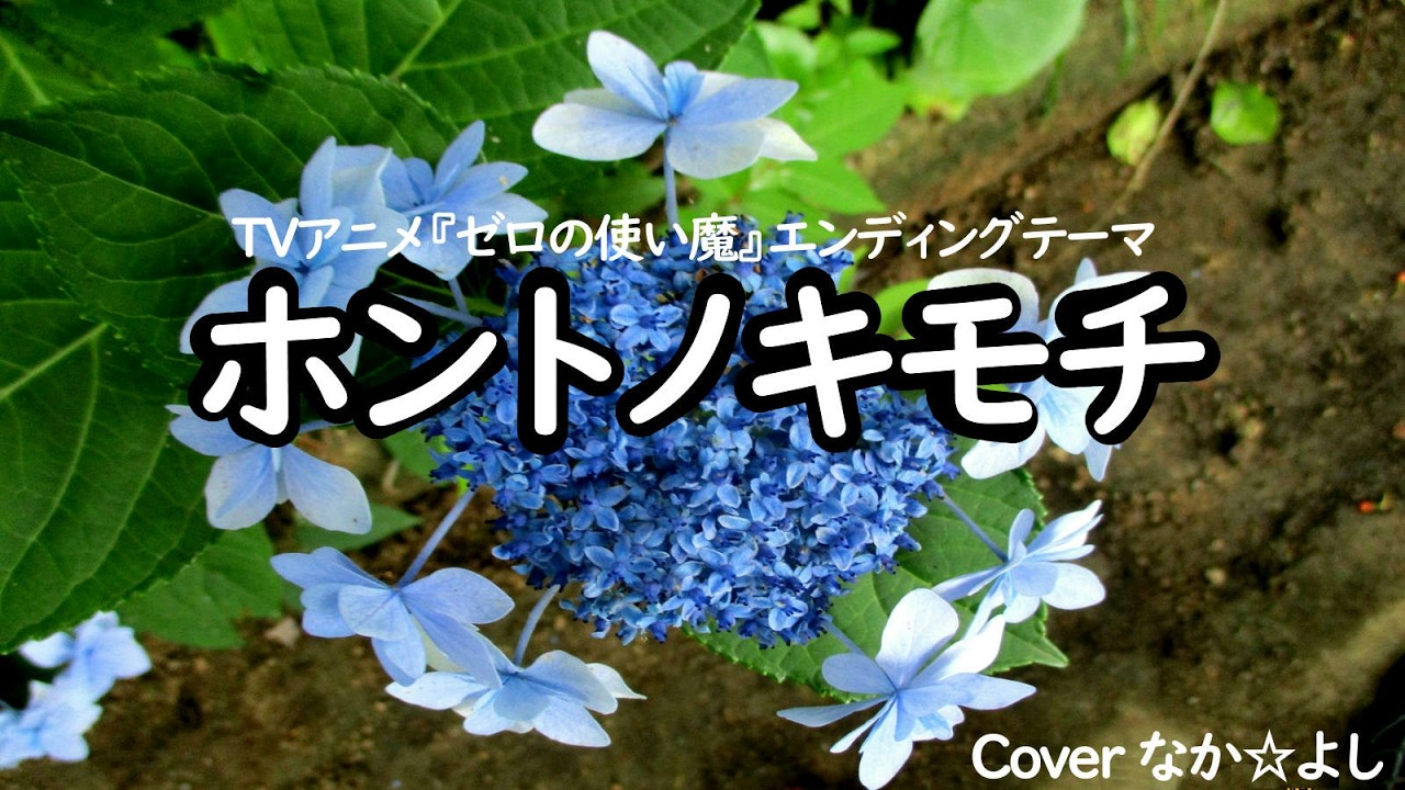 ホントノキモチ／釘宮理恵【うたスキ動画】