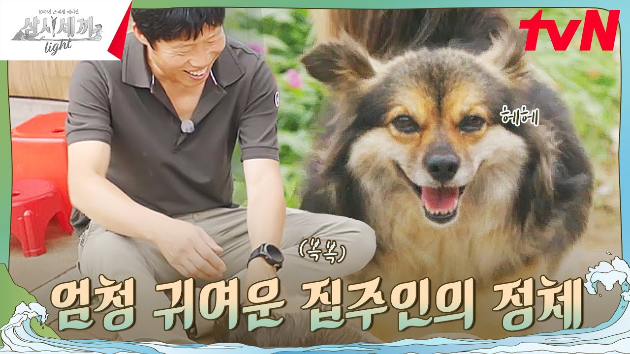 우리의 또 다른 가족 '복구'를 소개합니다~🐶 #삼시세끼Light EP.1 | tvN 240920 방송