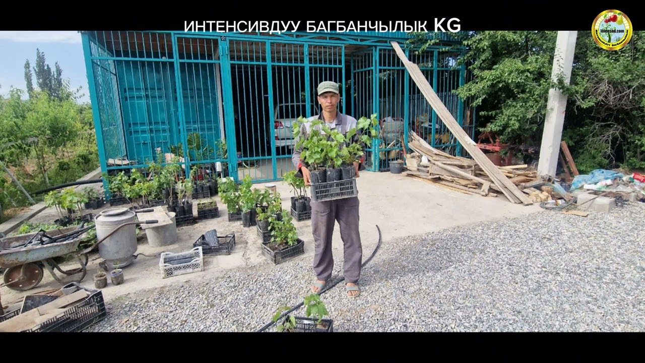 ИЮНЬ АЙЫНДА ЖУЗУМ КОЧОТТОРУН ТИГУУ