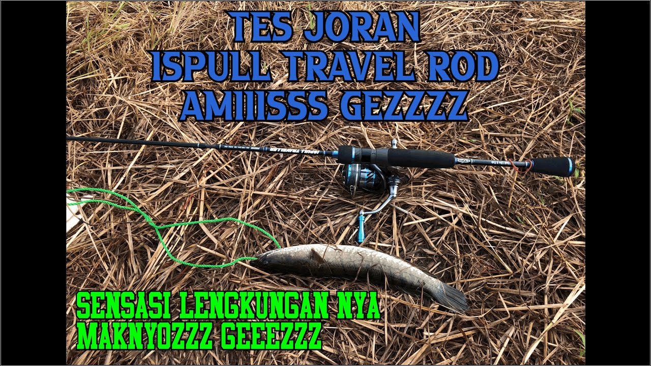 CASTING IKAN GABUS l TES JORAN TRAVEL ROD ISPUL