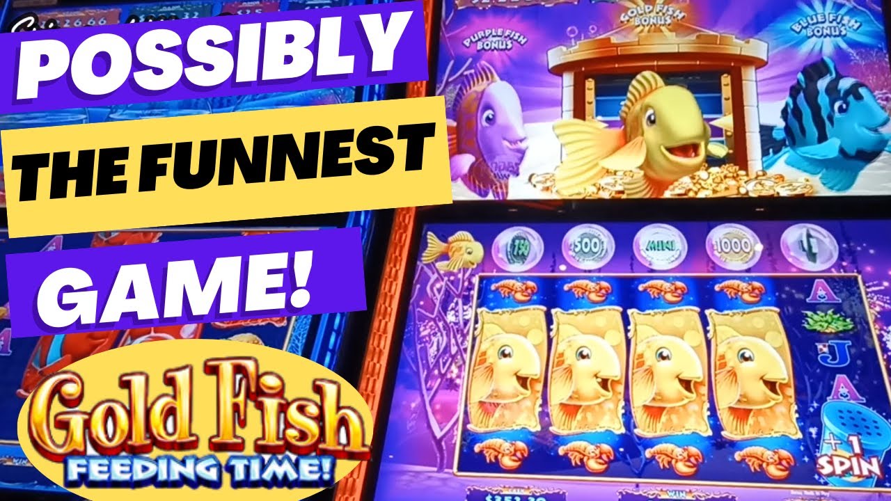 GOLD FISH FEEDING TIME! CASTLE: All 3 Fish! Extreme Bonus Mega Win