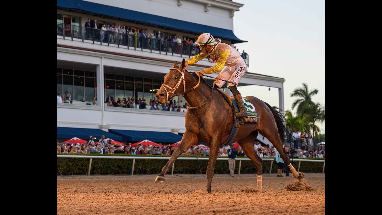 👉 Skippylongstocking conquista la Pegasus World Cup 2026 🏆 | La historia completa del campeón
