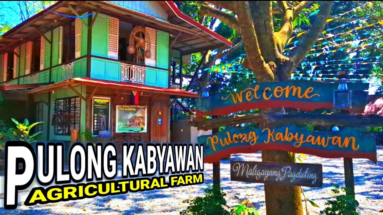 PULONG KABYAWAN AGRICULTURAL FARM