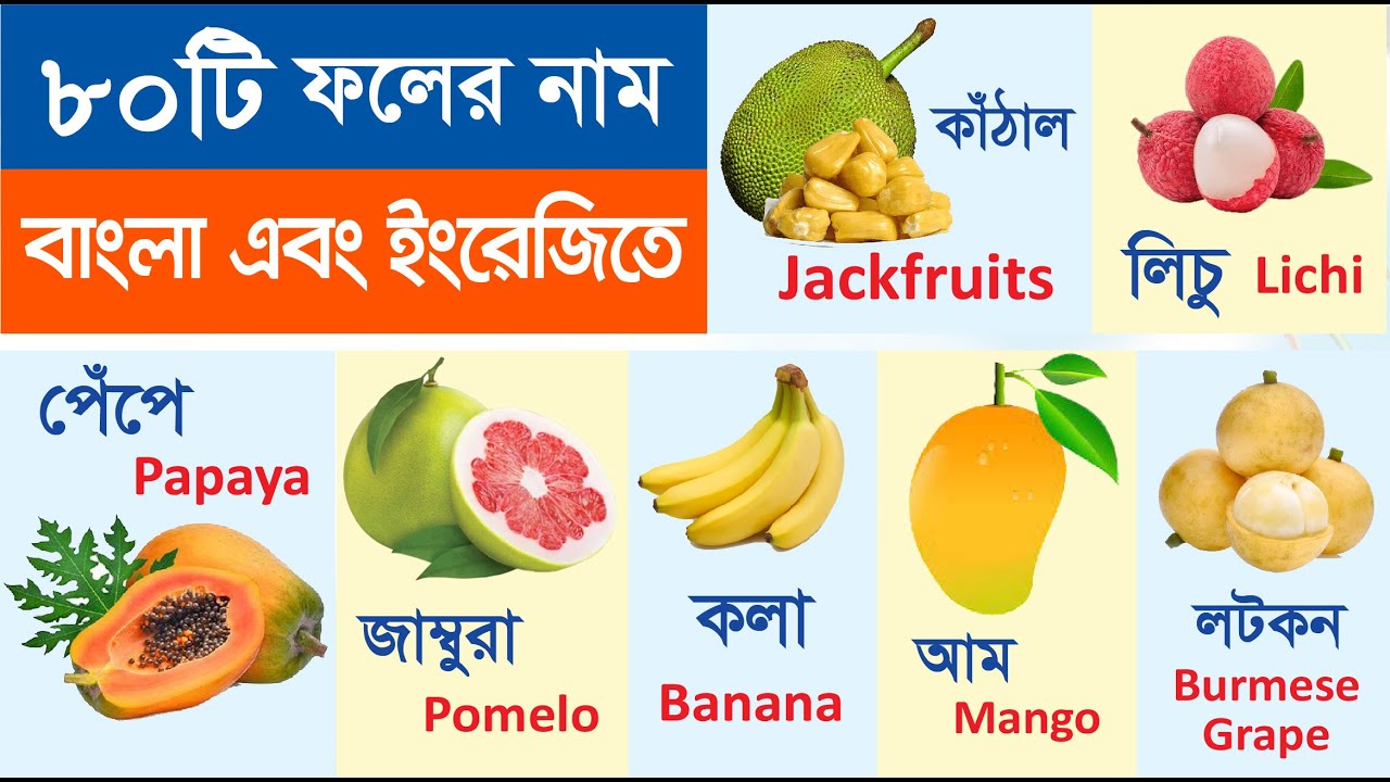 ফলের নাম শিখুন | Learn name of Fruits in Bengali & English | Fruits name for kids | Name of Fruits
