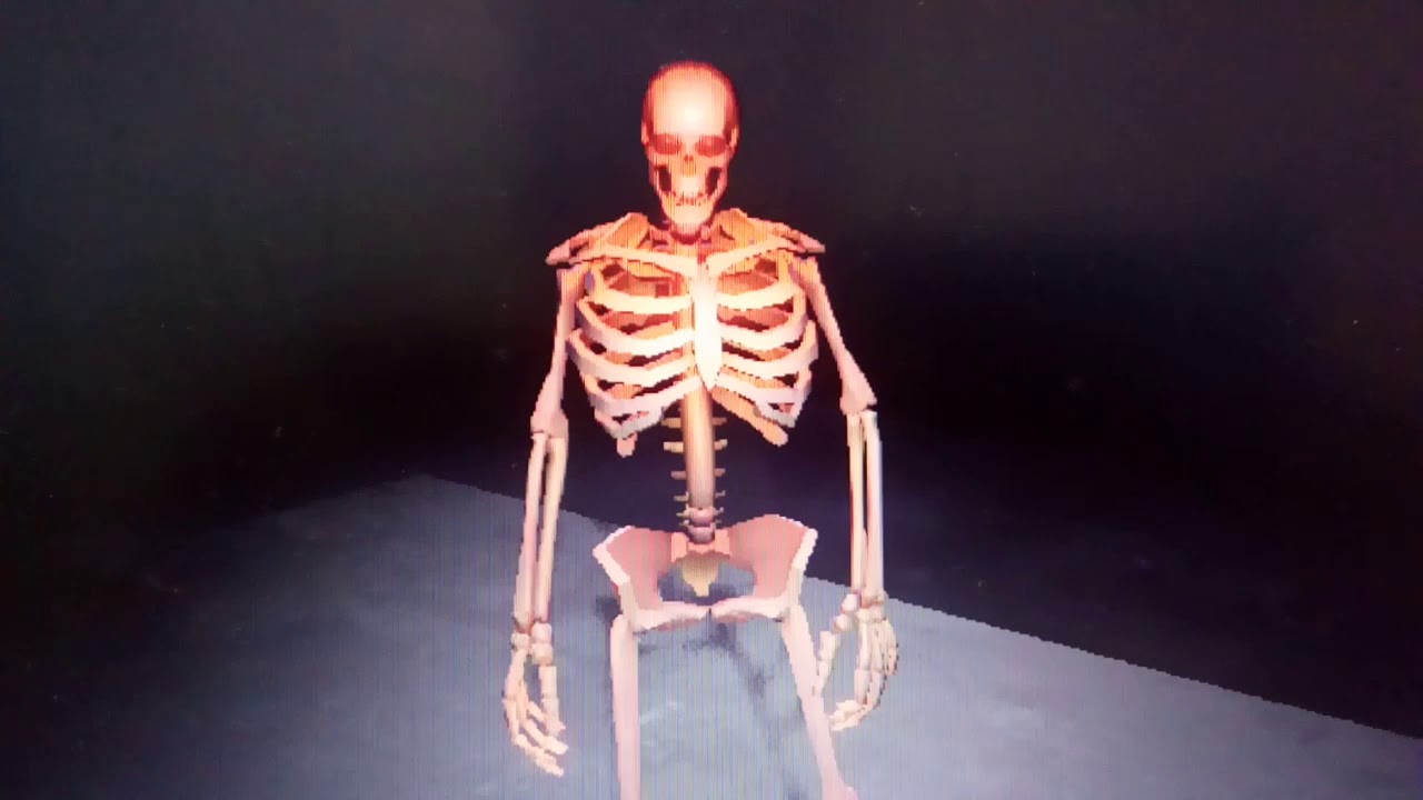 Esqueleto 3D