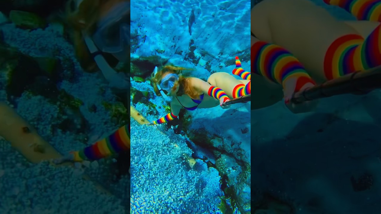 Swimming to my own seashell machine #freediving #swimming #asmrvideo #naturelovers #shell #asmr