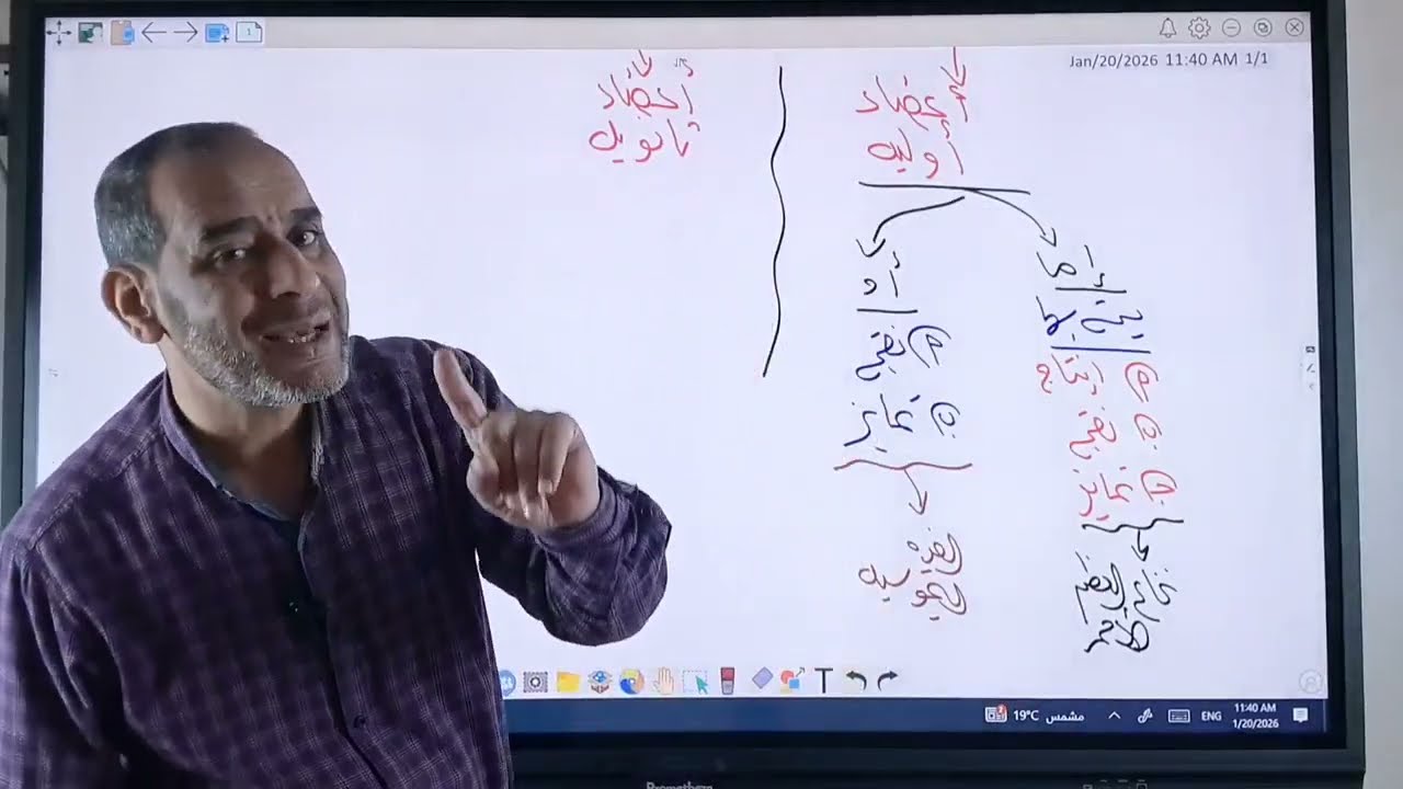 المناعه في الإنسان 2026 💪 الأعضاء الليمفاويه 💯 الجهاز المناعي ✅ الجهاز الليمفاوي ✅💯