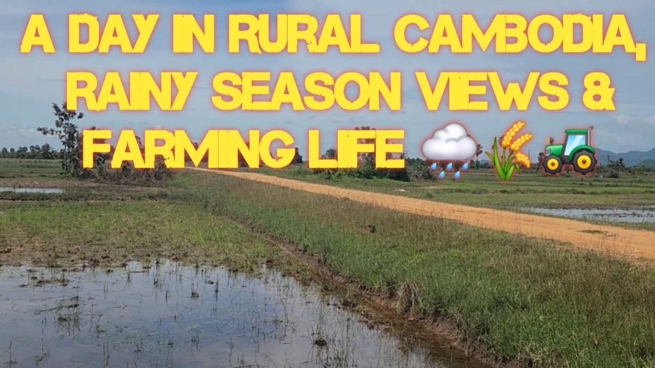 A Day in Rural Cambodia  Rainy Season Views & Farming Life 🌧️🌾🚜