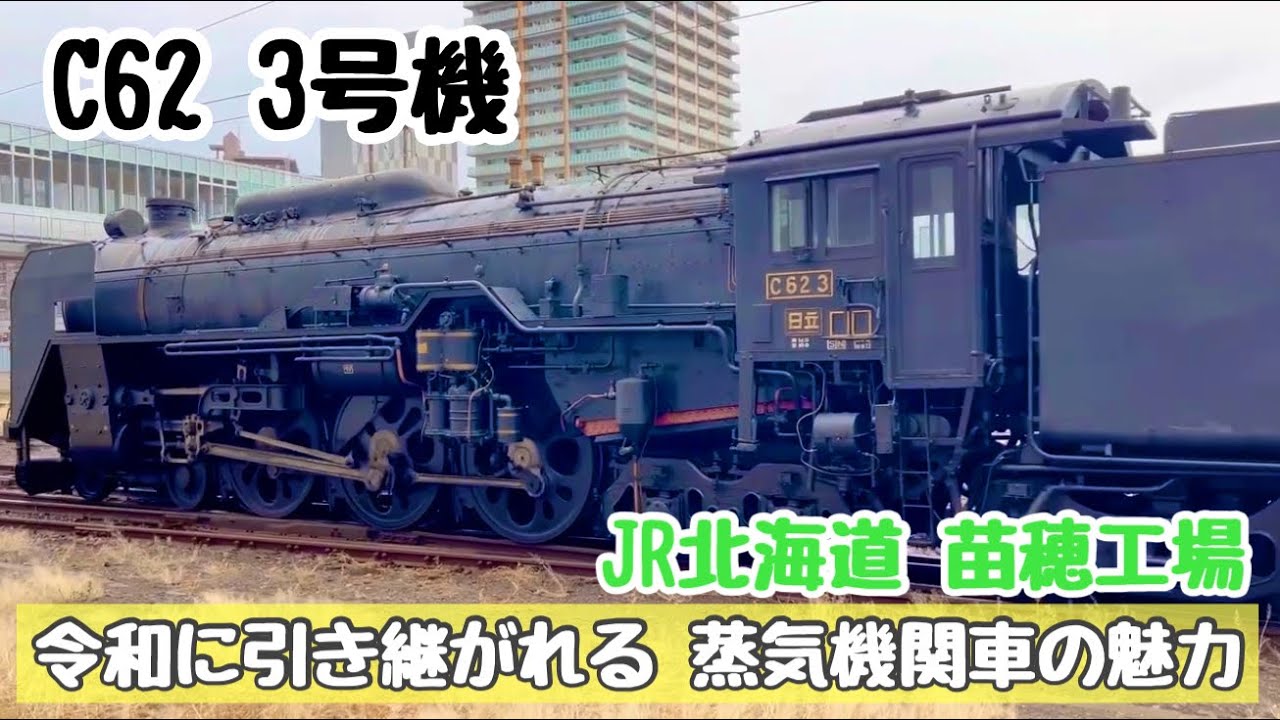 興奮再び！C623 復活！？＆733系の白顔が出現！？やばすぎる苗穂工場の１日（2024年5月31日）