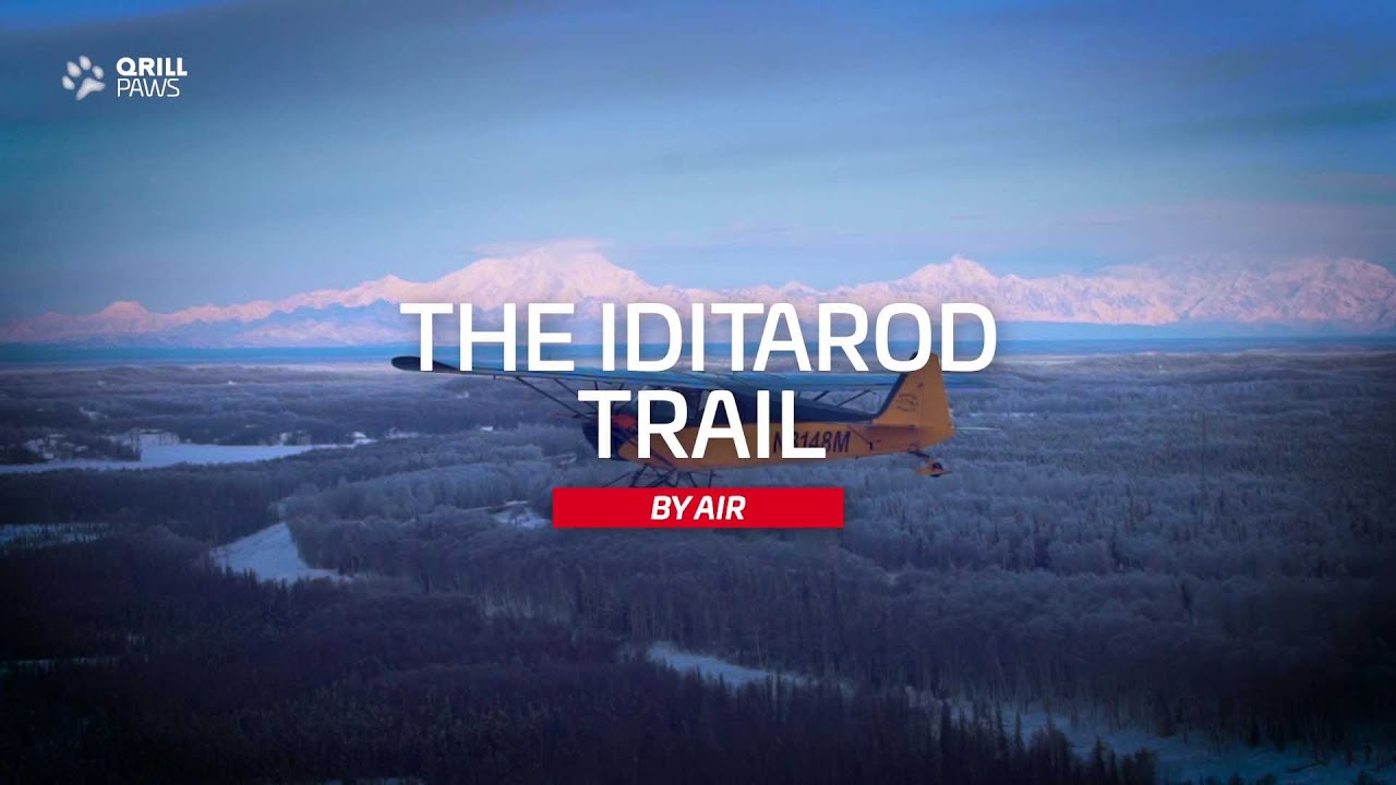 The Iditarod Trail By Air | QRILLPAWS 2021