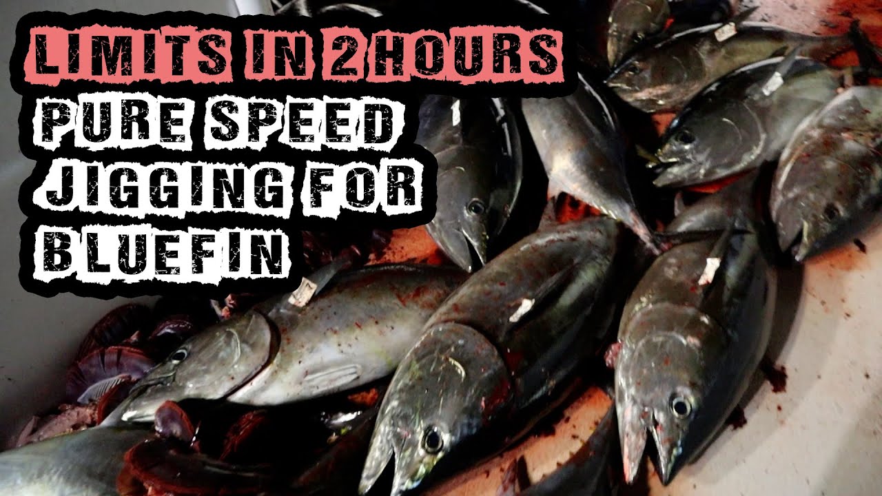 LIMITS OF BLUEFIN TUNA IN 2 HOURS! SPEED JIGGING BLUEFIN TUNA ON THE TOMAHAWK SPORTFISHING