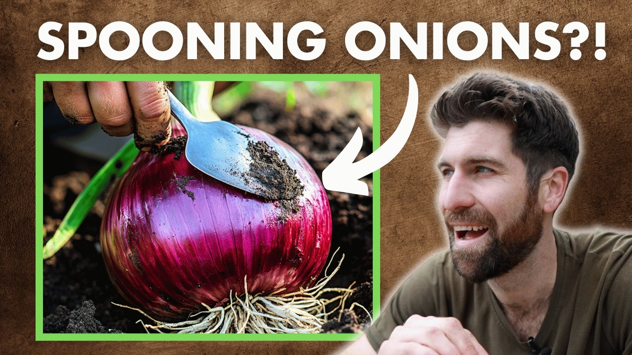 I TESTED Spooning vs. Not Spooning my Onions - here are the results!