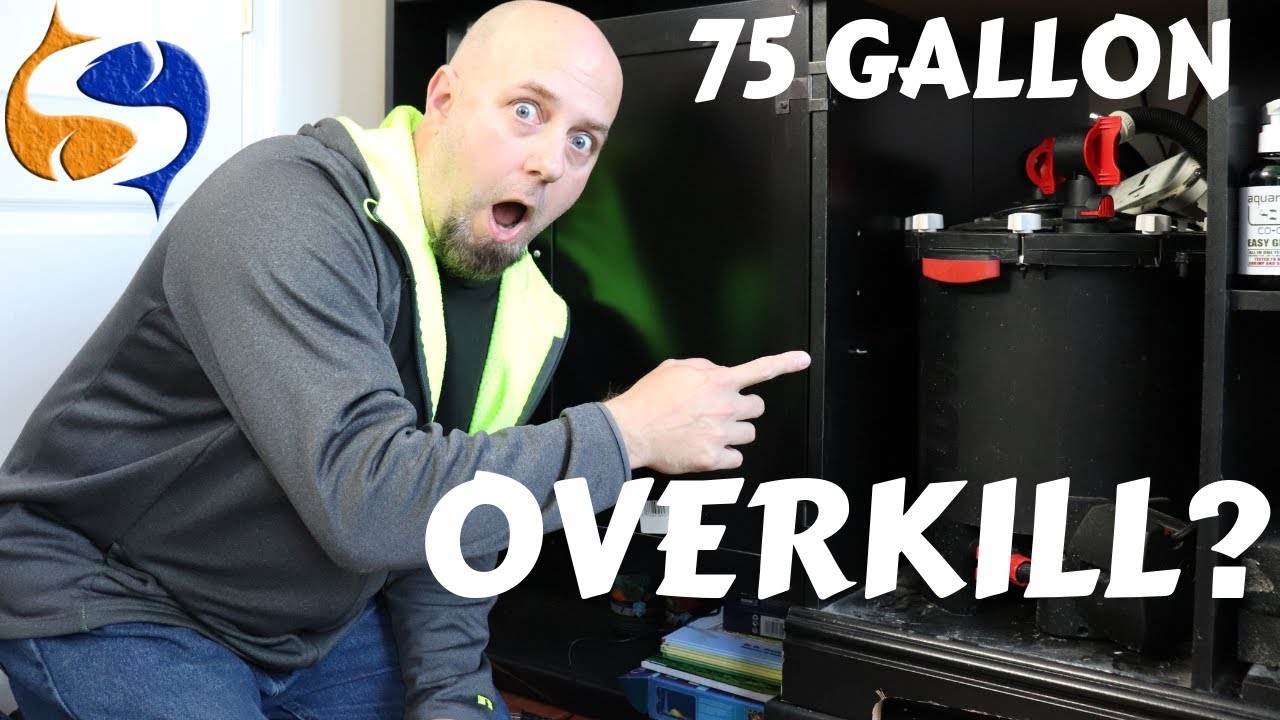 Установка Fluval FX-6 на 75-галлонный бак — перебор? Установка меньшего — удел неудачников!