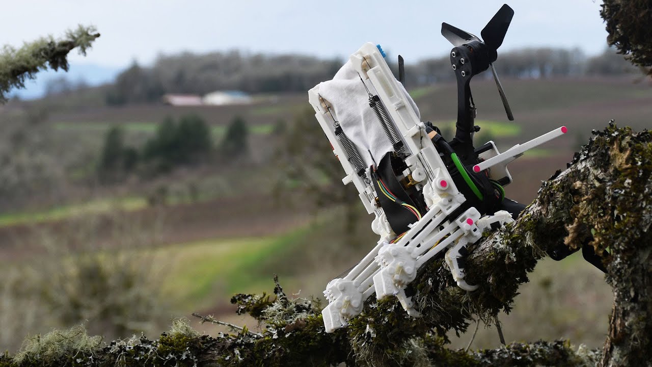This drone has legs: Watch a flying robot perch on branches, catch a tennis ball in mid-air