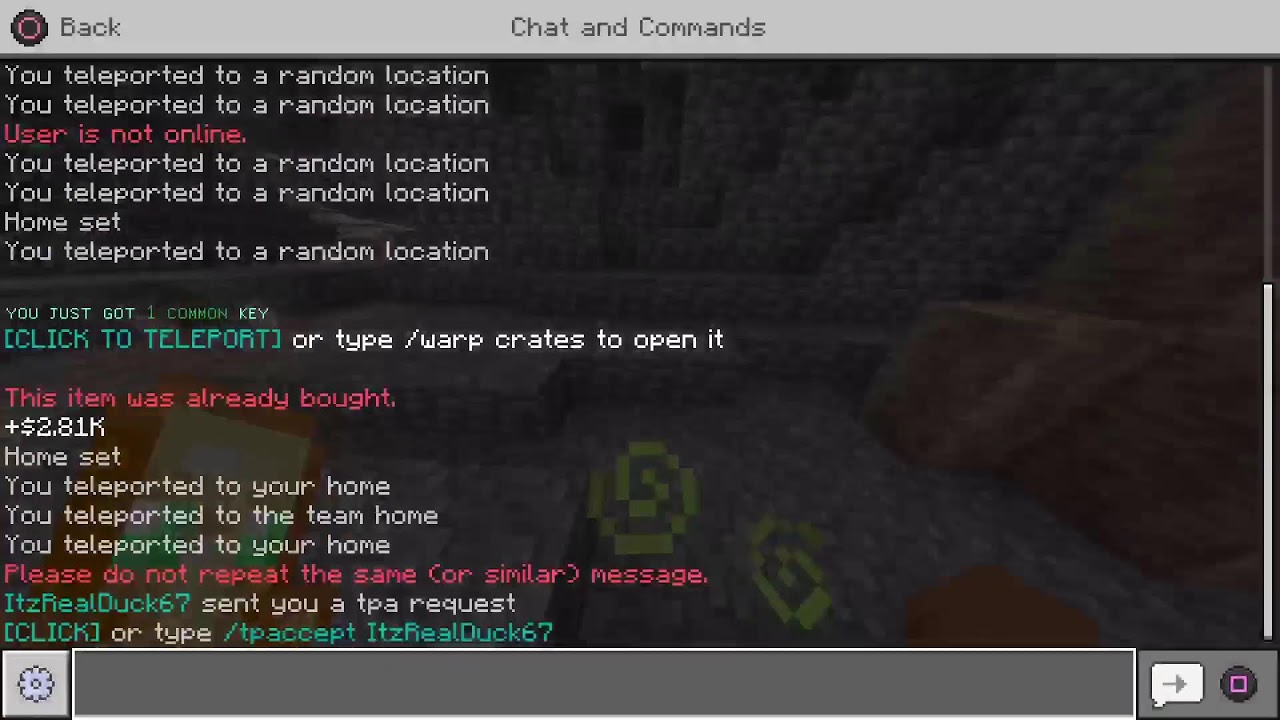 Donut Smp|Rating bases| Building Kelp Farm