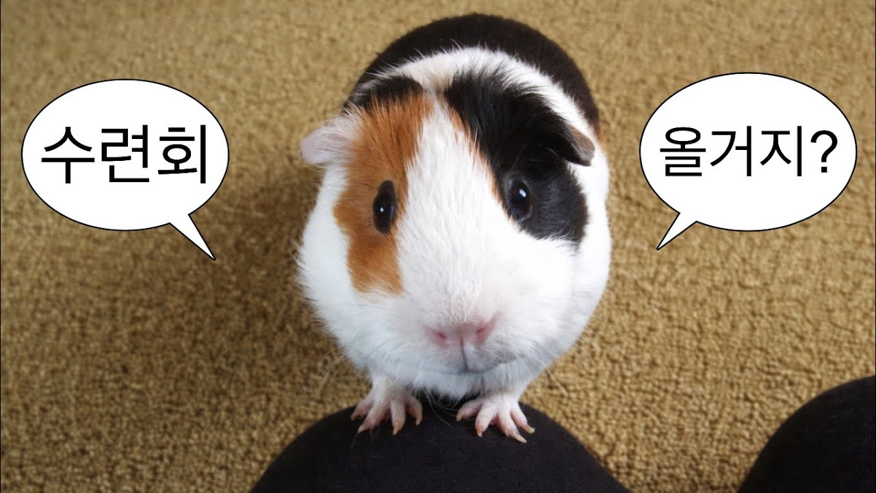 [CCM저녁집회SONGLIST:금요일] 26동계수련회 올거지?🤷🏻 안가면 이 모든게 언 발란스 한.⚖️ | 토브청년부 NO HOW? KNOW HOW! 수련회 집회찬양 플리 🎶