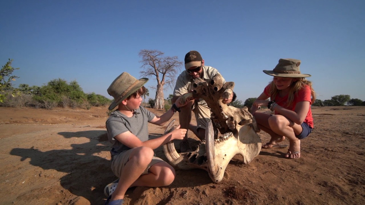 Potato Bush Camp, Lower Zambezi Nation Park, Zambia
