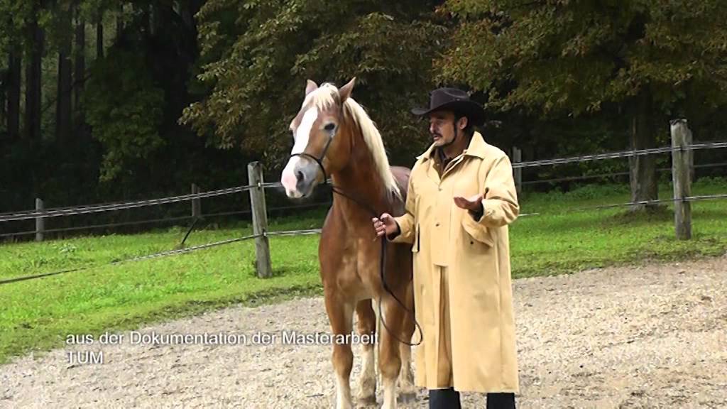 Wissenschaftliche Best&auml;tigung f&uuml;r das Lebenswerk