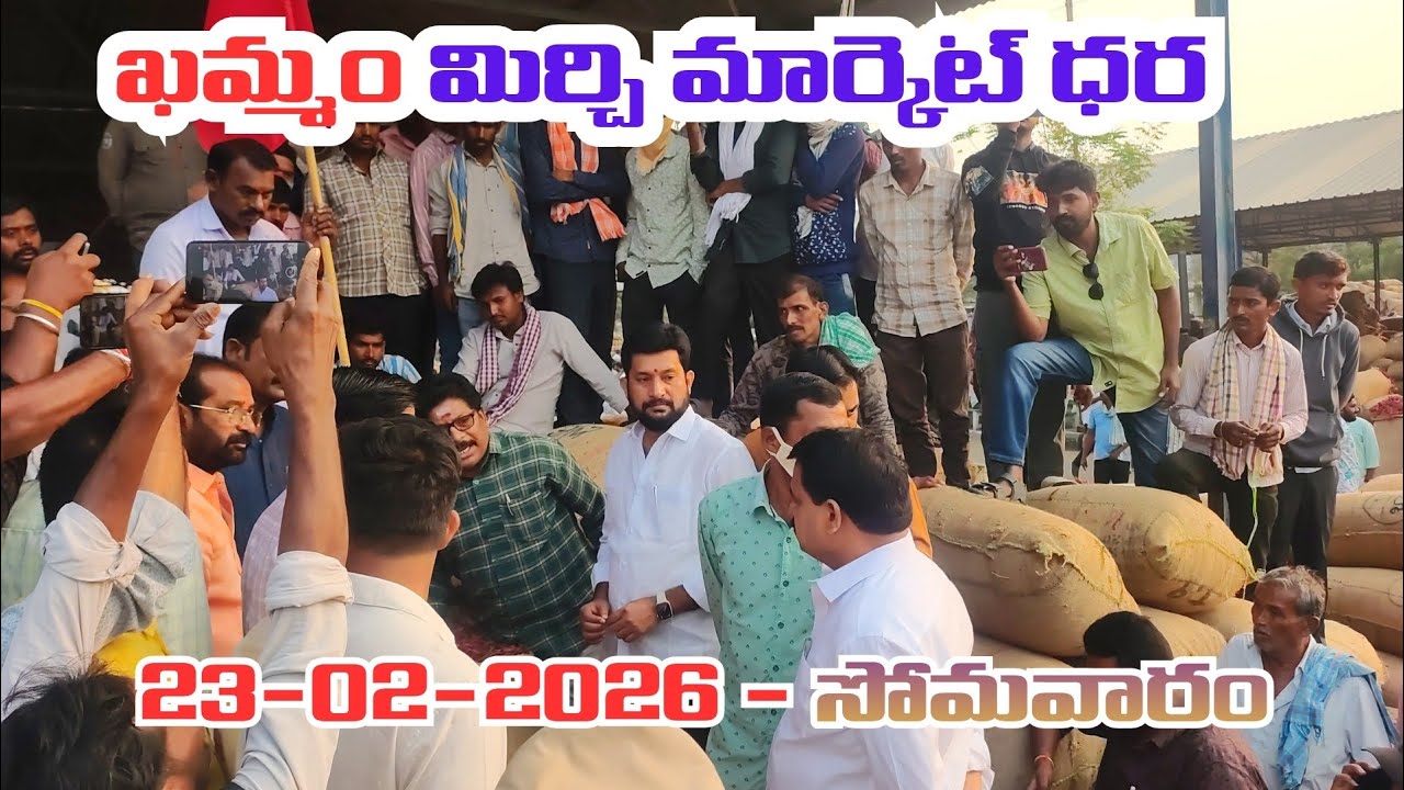 22/02/2026 khammam mirchi market price khammam mirchi market today #dharalu #mirchi#mirchiratetoday