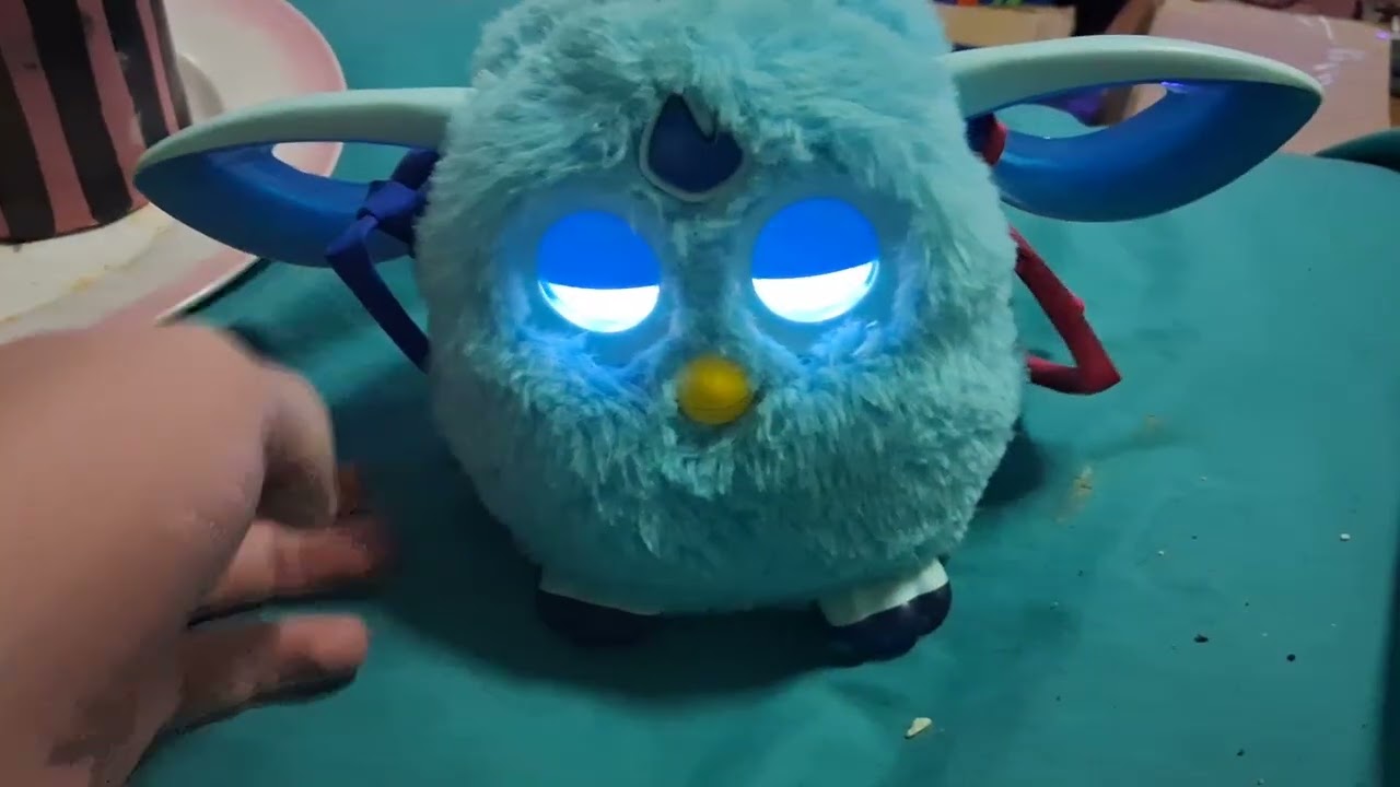 Blue_Berry (Test_01)