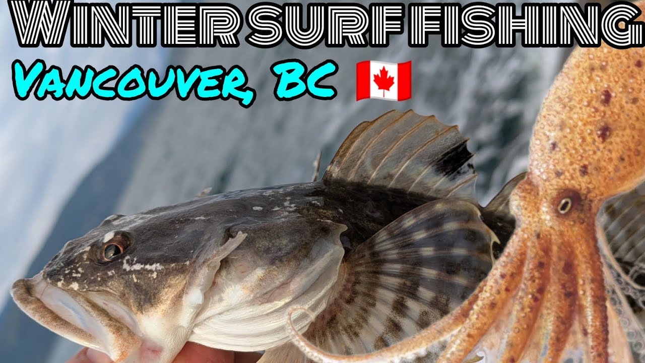 Зимняя рыбалка с берега, Ванкувер, Британская Колумбия 🇨🇦