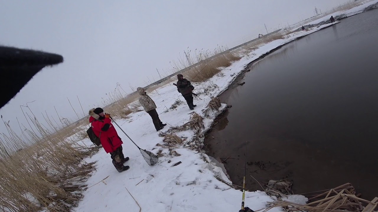 Одно рыбацкое утро в Нур-Султане