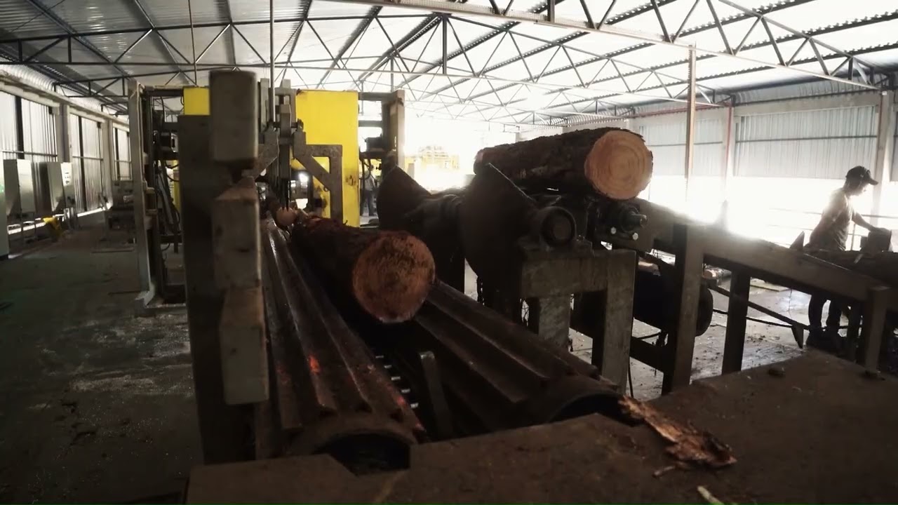 Entrada de Toras com Destopadeira